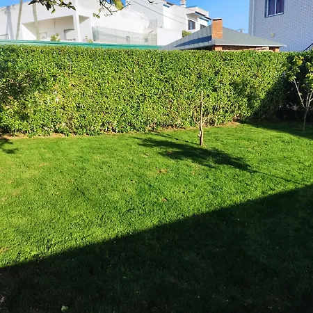 Apartment Radu House