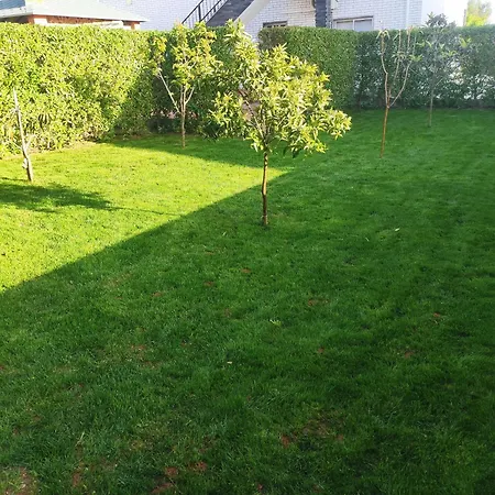 Radu House Mexilhoeira Grande