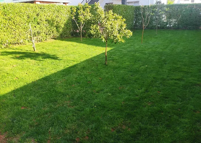 Radu House Mexilhoeira Grande